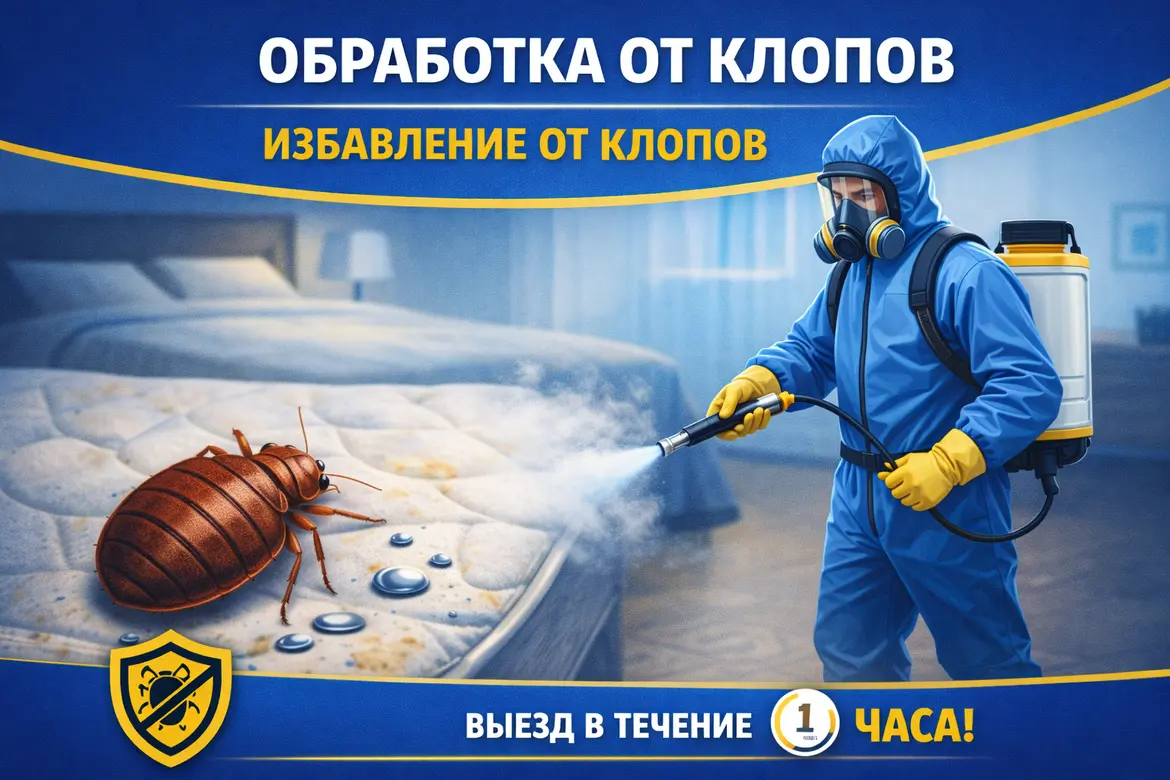 Ремонт стен в квартире